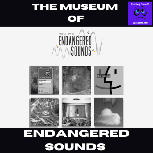Read more about the article Museum Of Endangered Sounds