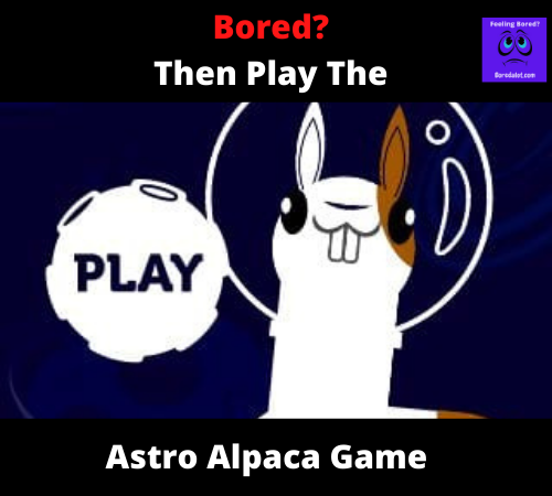 Read more about the article Astro Alpaca