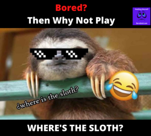 Where's the sloth game