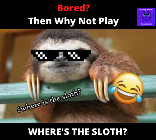 Read more about the article Where Is The Sloth Game?