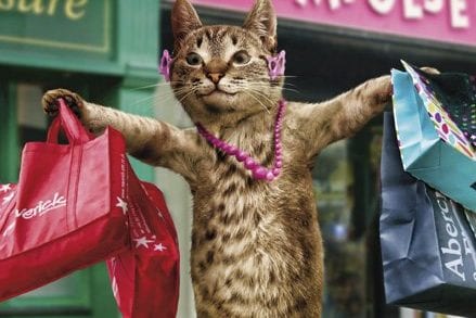 cropped-shopping-1.jpg