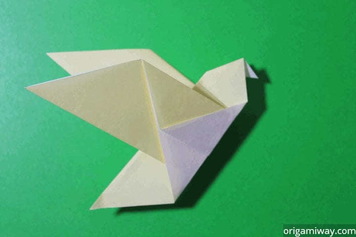 Read more about the article Learn Origami