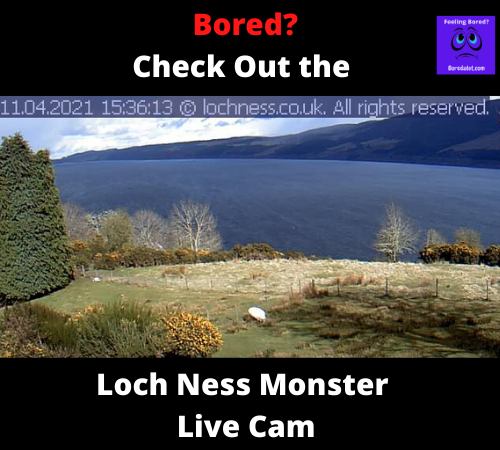 Read more about the article Loch Ness Live Cam – Can You Spot Nessie?