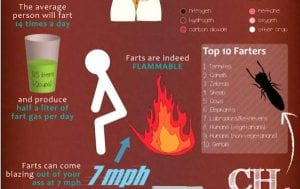 fart facts