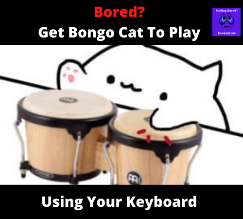 Read more about the article Bongo Cat