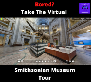 Smithsonian Museum Virtual Tour