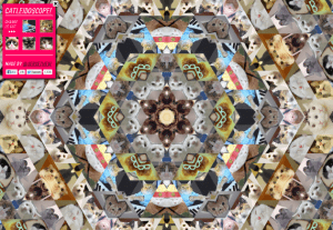 cat kaleidoscope