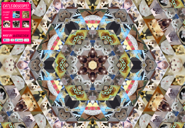 Read more about the article Cat Kaleidoscope