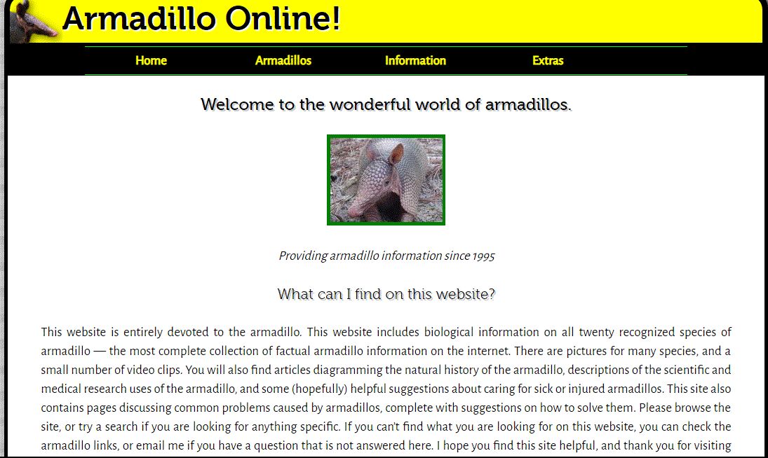 Read more about the article Armadillo Facts