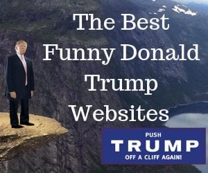 Read more about the article Funny Donald Trump Websites