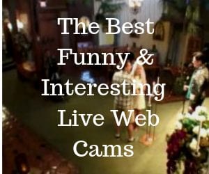The Best Funny & Interesting Live Web Cams