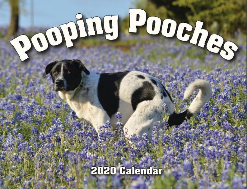 2020 Pooping Pooches Calendar BORED A LOT