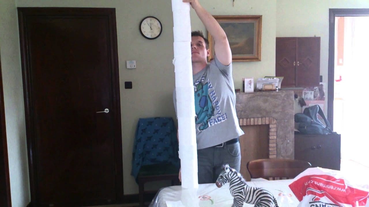 Tallest Toilet Paper Tower in 30 seconds