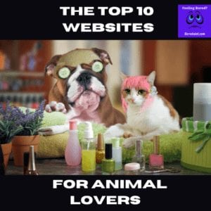 Websites for animal lovers