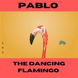 Pablo the dancing Flamingo