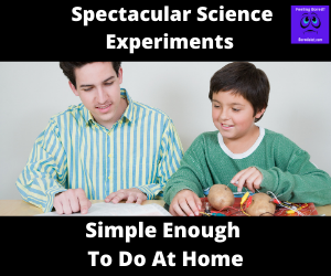 Read more about the article Spectacular Science Experiments Simple Enough to Do at Home