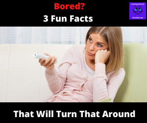 Read more about the article Bored? Here Are 3 Fun Facts That Will Turn That Around