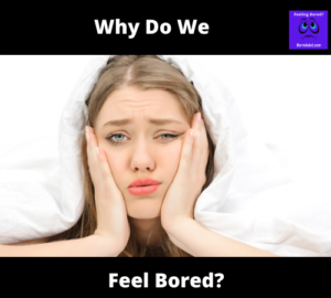 Why Do We Feel Bored