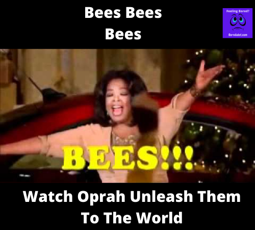Read more about the article Bees Bees Bees By Oprah Winfrey