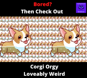 corgi orgy