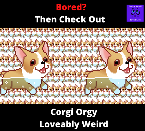 Read more about the article The Corgi Orgy – A Dog Lovers Dream