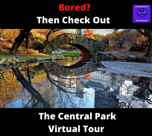 Read more about the article Central Park Virtual Tour