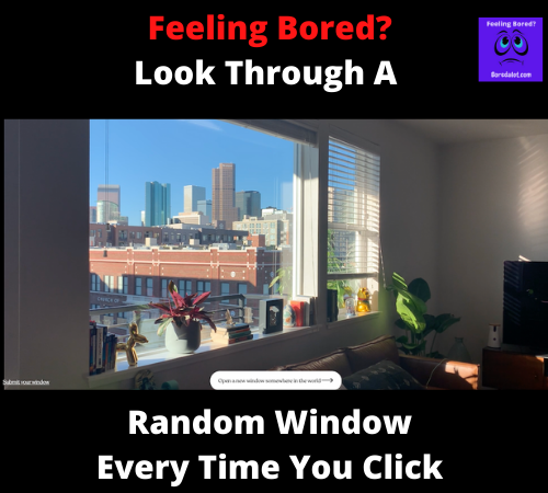 Read more about the article Window Swap. A Random View Every Single Click